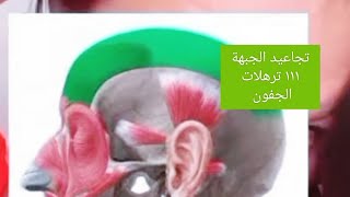 كشف المستور عن تجاعيد وترهلات الوجه [upl. by Asnarepse]