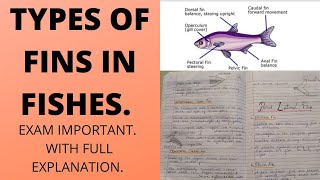 TYPES OF FINS IN FISHESFull explanation with noteszoology [upl. by Stringer]