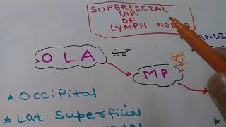 FOR MBBS LYMPH NODES OF NECK  MNEMONICS [upl. by Isadore162]