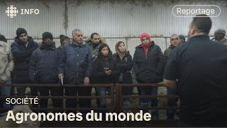 Des agronomes du monde entier dans les champs du Québec  La semaine verte [upl. by Einhpets374]