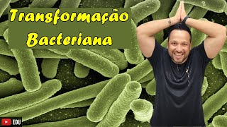 Transformação Bacteriana  Conceito e Processo  Reprodução Bacteriana  Microbiologia [upl. by Eenor19]