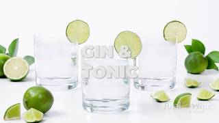 How to Make a Gin and Tonic Cocktail [upl. by Suzi789]