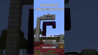 This Minecraft Java Has Has A Village Built Right In The Middle Of A Swamp [upl. by Einhapets]