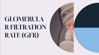 Understanding Glomerular Filtration Rate Renal Function Test [upl. by Nadirehs]