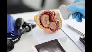 Development of Larynx Trachea and Lungs  Respiratory system embryology Foregut development [upl. by Spurgeon]