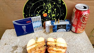 CCI 22LR Shotshell VS Federal 22LR Bird Shot 12 22 LR Ammo Test amp Review [upl. by Alysoun]