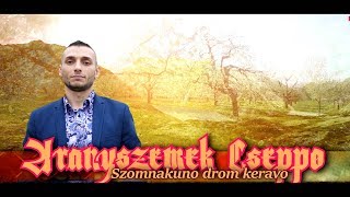 Aranyszemek Cseppo 2018  Szomnakuno drom keravo  WWWROYALSTUDIOPRO [upl. by Daley]