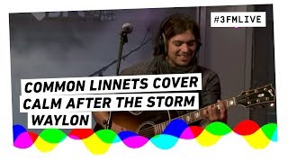 Waylon  Calm After The Storm Common Linnets cover  3FM Live [upl. by Afrikah]