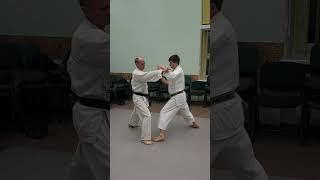 Chinte kata effective bunkai nr 4 shorts [upl. by Lladnarc620]