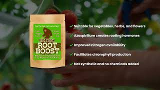 Root Boost Overview [upl. by Justina]