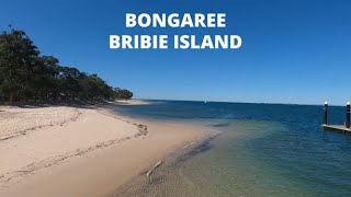 BONGAREE BRIBIE ISLAND Ultimate Camping Fishing Boating amp kayaking and a Best Holiday Destination [upl. by Cired170]