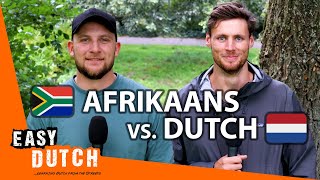 How Similar Are Afrikaans and Dutch  Easy Dutch Special 4 [upl. by Dosh]