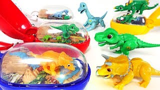 Tiny dinosaurs in capsule eggs Dino Mecard dinosaur capsule Tyrannosaurus  DuDuPopTOY [upl. by Osrock64]