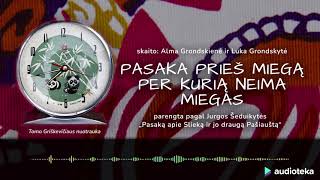 PASAKA PRIEŠ MIEGĄ PER KURIĄ NEIMA MIEGAS  Audiotekalt [upl. by Joby]