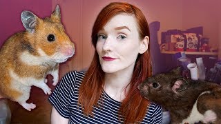 The Duo Hamster Rescue  Foster Intake Story  Munchies Place [upl. by Htidra]