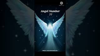 Angel Number 77 Message for you  shorts viral [upl. by Euh]