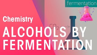 Making Alcohols By Fermentation amp From Ethane  Organic Chemistry  Chemistry  FuseSchool [upl. by Korella]