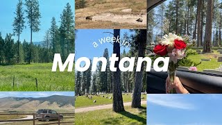 A quick week in Montana  life updates 🤠 [upl. by Zsuedat420]