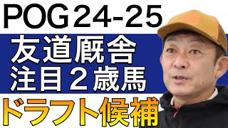 【POG24−25】友道厩舎の注目２歳馬をリストアップ！！【栗東の名門！！／ドラフト検討向け】 [upl. by Dionne709]