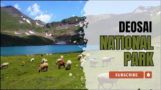 Skardu tour with family 2024  Deosai National Park  Day 9😍 Last Day In Skardu [upl. by Ponton]