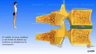 Le vieillissement de la colonne vertébrale [upl. by Rodgiva]
