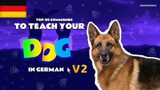 Teach Your Dog Commands In German v2 corrected version 20 Common Words [upl. by Pickett9]