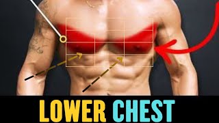 Lower Chest Get a Defined with These 7 Exercises [upl. by Onaimad]