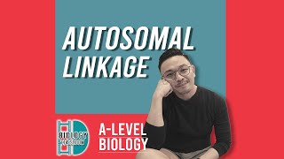 ALevel Biology  Autosomal linked genes [upl. by Ettellocin]