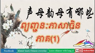 Pin yinPart1Learn Chinese with longyi រៀនចិនថ្នាក់ដំបូង [upl. by Dnalyaw]