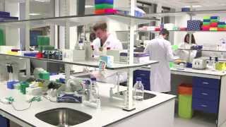 Genetics and genomics laboratory  Royal Brompton Hospital [upl. by Clerissa]