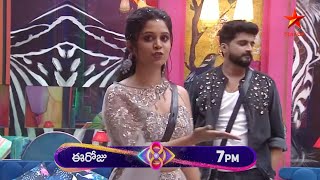 Yashmi Gowda amp Nikhil Jodi entry in biggbosstelugu8 nagarjuna starmaa grandlaunch [upl. by Zielsdorf914]