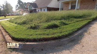 Fungus or Grub Damage  Pro Turf Lawn Service [upl. by Elsilrac80]