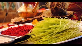 New Nepali Dashain Tihar Song 2016 BHOKO PET by Yagya B K amp Saru Basnet [upl. by Crista]