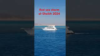 Red sea sharm elSheikh 2024 redsea sharmelsheikh mountains viralvideo [upl. by Ymmaj]