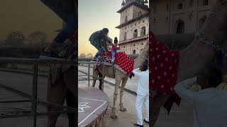 Darshika ko mamma ne camel 🐫 par nahi baithaya 🔥🔥🔥shorts ytviral ytshorts youtube [upl. by Hassin]