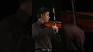 What is Martelé shorts violin cello classicalmusic orchestra music strings [upl. by Mungovan838]