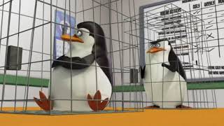 The Penguins of Madagascar TV Show Widescreen HDTV [upl. by Nosduh]