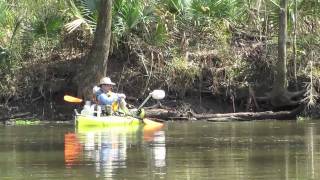 FishTales Kayaking the San Jacinto river above Stubblefield [upl. by Airednaxela]