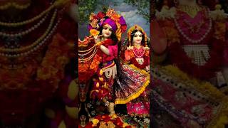 श्री राधे राधे राधे बरसाने वाली राधे  Radha rani status  krishna ji  shorts radha barsana [upl. by Tamera]