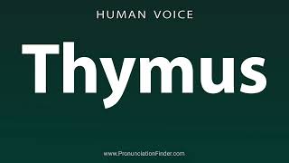 How To Pronounce Thymus [upl. by Eliza249]