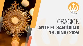 Adoración al Santísimo Domingo 16 Junio de 2024 Padre Fredy Córdoba 🙏 Ora Con Dios [upl. by Nylleoj]