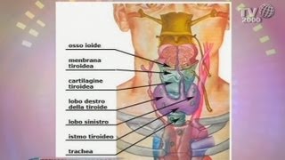 Tiroide sintomi diagnosi e cura [upl. by Namia512]