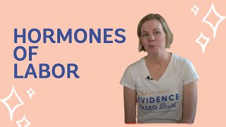 Hormones of Labor and Birth EBB Crash Course [upl. by Parthena958]