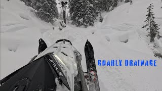 2024 Polaris 9R EPIC first ride in Revelstoke  RAW TREE RIDING  Ep 23 [upl. by Aidnahs]