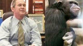 The monkey song with George W Bush [upl. by Notelrahc318]