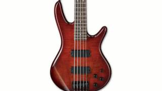 Ibanez GSR205SM 5String Electric Bass [upl. by Yralam]