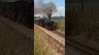 quotBlack Princequot along Dymchurch Straight on the RHDR short steamtrain railway narrowgauge shorts [upl. by Notsur]