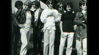 The Standells Cover The Rolling Stones 19th Nervous Breakdown [upl. by Dazhehs679]