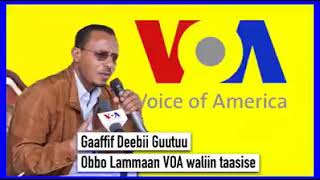 Haasaa Obbo Lammaa Magarsaa VOA waliin taasisanii turan [upl. by Liew]