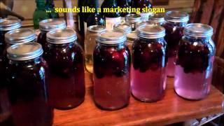 🍷 How To Make Easy Homemade Wine 🤩 Making Blackberry Wine👓 [upl. by Lebasi]